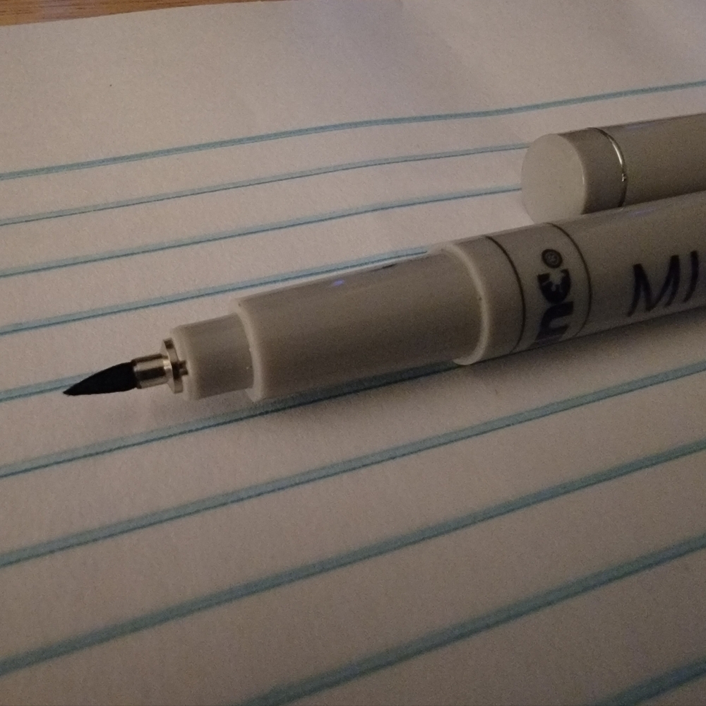 Micro tip brush pen (used a few times)